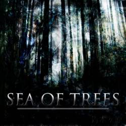 Sea Of Trees (USA) : Sea of Trees